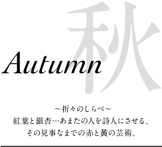 秋 ～折々のしらべ～紅葉と銀杏…あまたの人を詩人にさせる、その見事なまでの赤と黃の芸術。